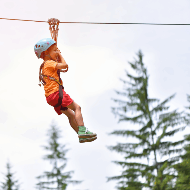 Young boy on zipline in pine trees