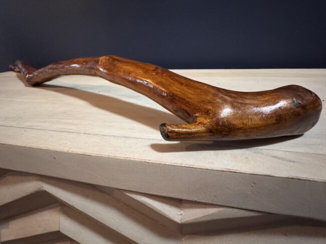 Walking stick laying on a table