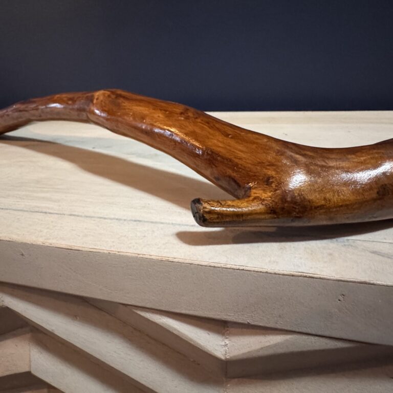 Walking stick laying on a table